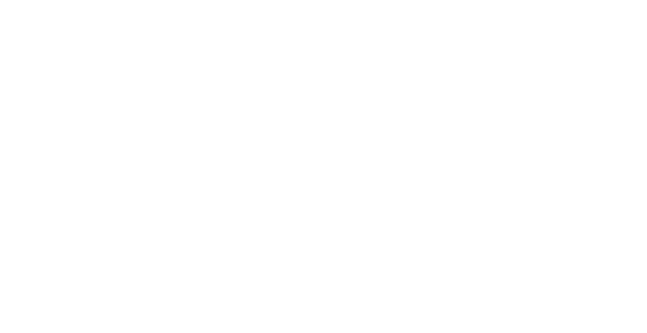 Studex